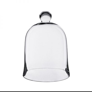 Bell Jar Glass